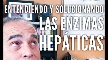 ¿Qué alimentos hacen subir las enzimas hepáticas?