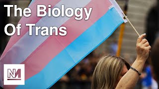 Were Trans People “Born This Way”? | Downstream