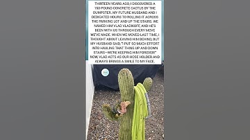 Couple Saves 150-Pound Cactus with a Tiny Dinosaur! | Heartwarming Garden Story