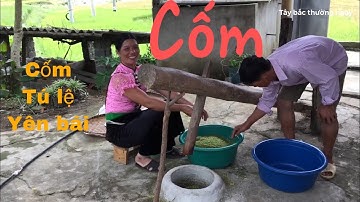 Cốm tú lệ yên bái,đặc sản vùng cao tây bắc | tây bắc thường ngày