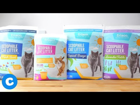 Vídeo: Què Hi Ha A Cat Litter - Clay Litter - Líquica De Sílice - Escombraries Naturals