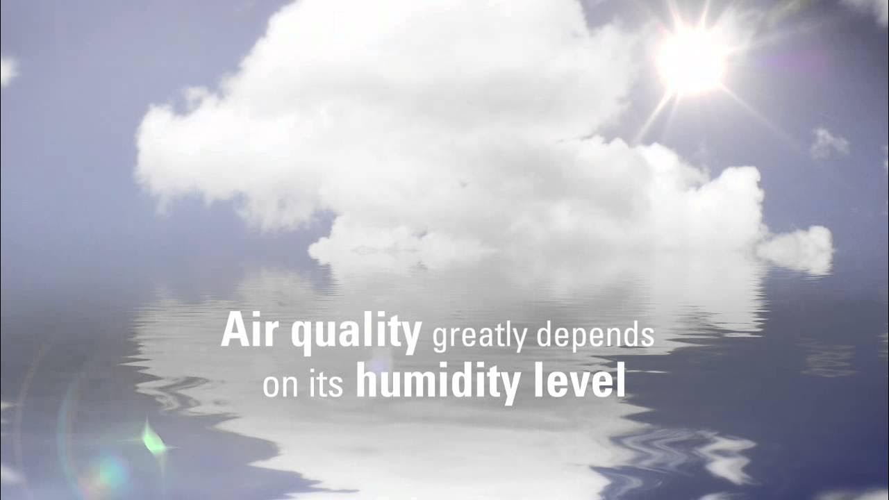 Rowenta Intense Aqua Control Humidifier YouTube