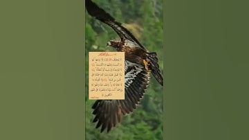 #سورة_البقرة #ايات_قرانيه_قصيره #قرآن_كريم #shayari #shots #shotsyoutube #shots_video