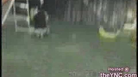 [From www.metacafe.com] 649607.4167ds726.1