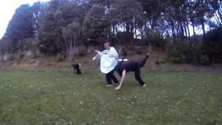 Monk vs Ninjas