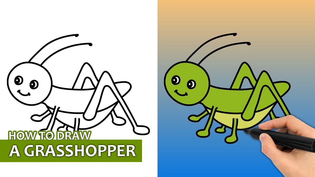 How to Draw Grasshopper Step by Step - YouTube
