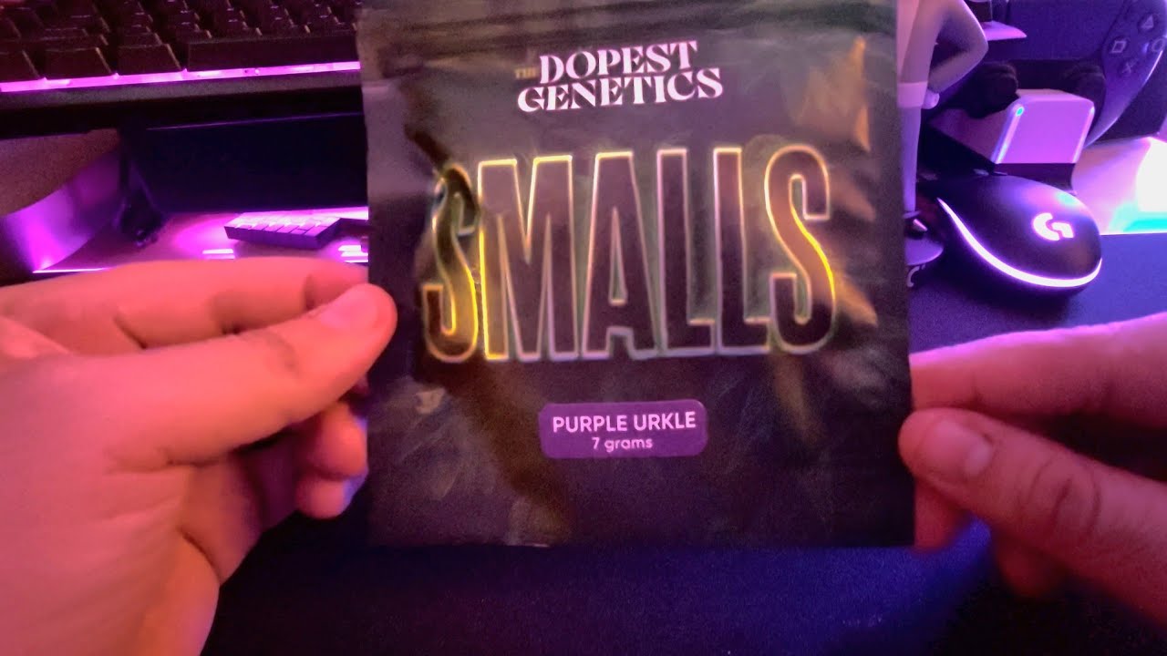 Purple Urkle | SMALLS | The DopestGenetics | Strain Review