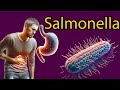Salmonella Explained: Symptoms, Treatment, and Prevention Tips
