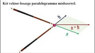 Skaláris férgek, Pullan paraziták és vektorok - Pullan paraziták és vektorok