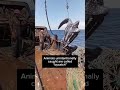 Commercial fishing is an ABOMINATION 💔