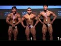 BBSG Nationals 2016 - Open (Under 70kg)