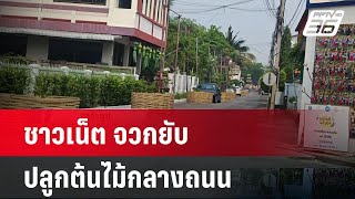 ชาวเน็ต จวกยับ ปลูกต้นไม้กลางถนน | เที่ยงทันข่าว | 7 พ.ค. 67