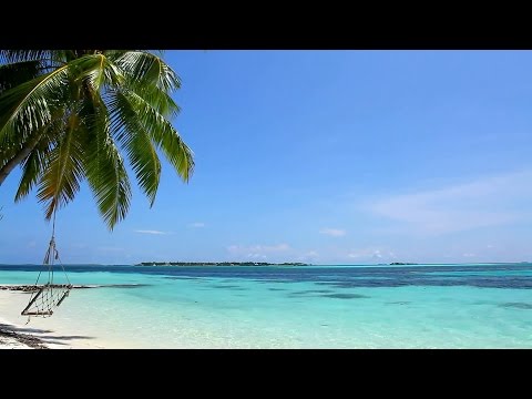 Video: Cómo Relajarse En La Playa En