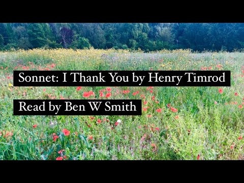 Sonnet: I Thank You by Henry Timrod (read by Ben W Smith)