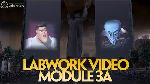 MODULE 3A - VIDEO TUTORIAL LABWORK
