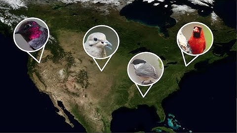 Getting a Bird’s-Eye View of Biodiversity With Landsat