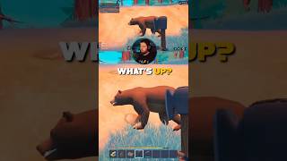 EVEN THE BEARS ARE FRIENDLY! #shorts #survivalgame #cozygames