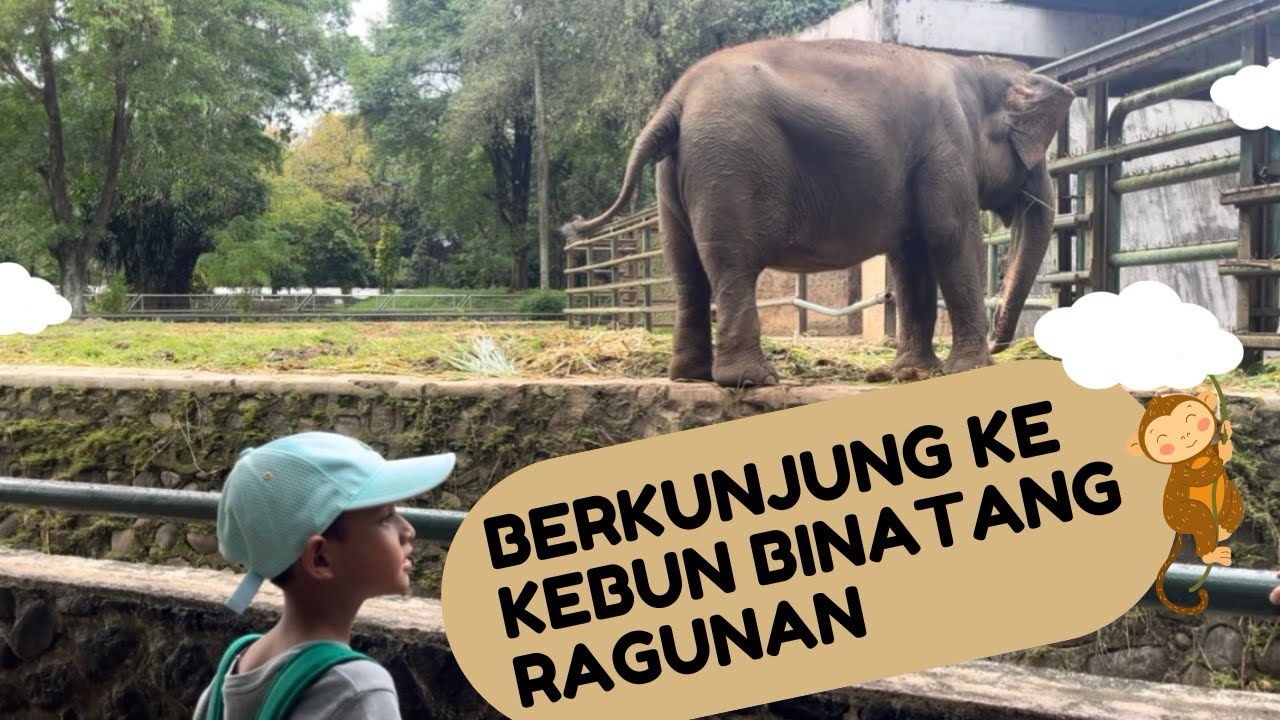 GAJAH BESAR!! JALAN-JALAN KE KEBUN BINATANG RAGUNAN