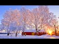 ❄ Winter Snow Scene + Calming Piano Music For Relaxing, Meditation & Yoga - Best Sleep Music #25