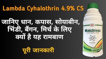 Lambda Cyhalothrin 4.9% cs | धान में पत्ता लपेट, तना छेदक ,थ्रिप्स, और सफ़ेद मक्खी को करें नियंत्रण