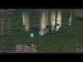 Lineage 2 Classic - AOE mag exping - 20 lvl +