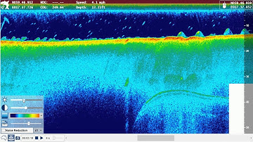 The ReefMaster Sonar Viewer