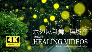 【4K】ホタルの乱舞と自然音ASMR／癒し系3時間／Healing videos and natural sounds