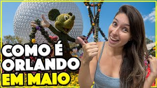Como É Orlando Em Maio - O Melhor Mês Para Viajar? Orlando Mês A Mês