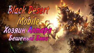 Black Desert Mobile. Босс ( Хозяин Алтаря: Бешеный Бхег )