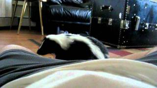 MVI_5750.AVI