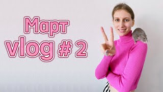 Итоги конкурса рисунков 🌸 Дела за неделю 🐀