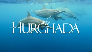 Diving Hurghada 2023 - Liveaboard Amelie dive safari May 2023 4k | Sony A7SIII | Nauticam NA-A7SIII