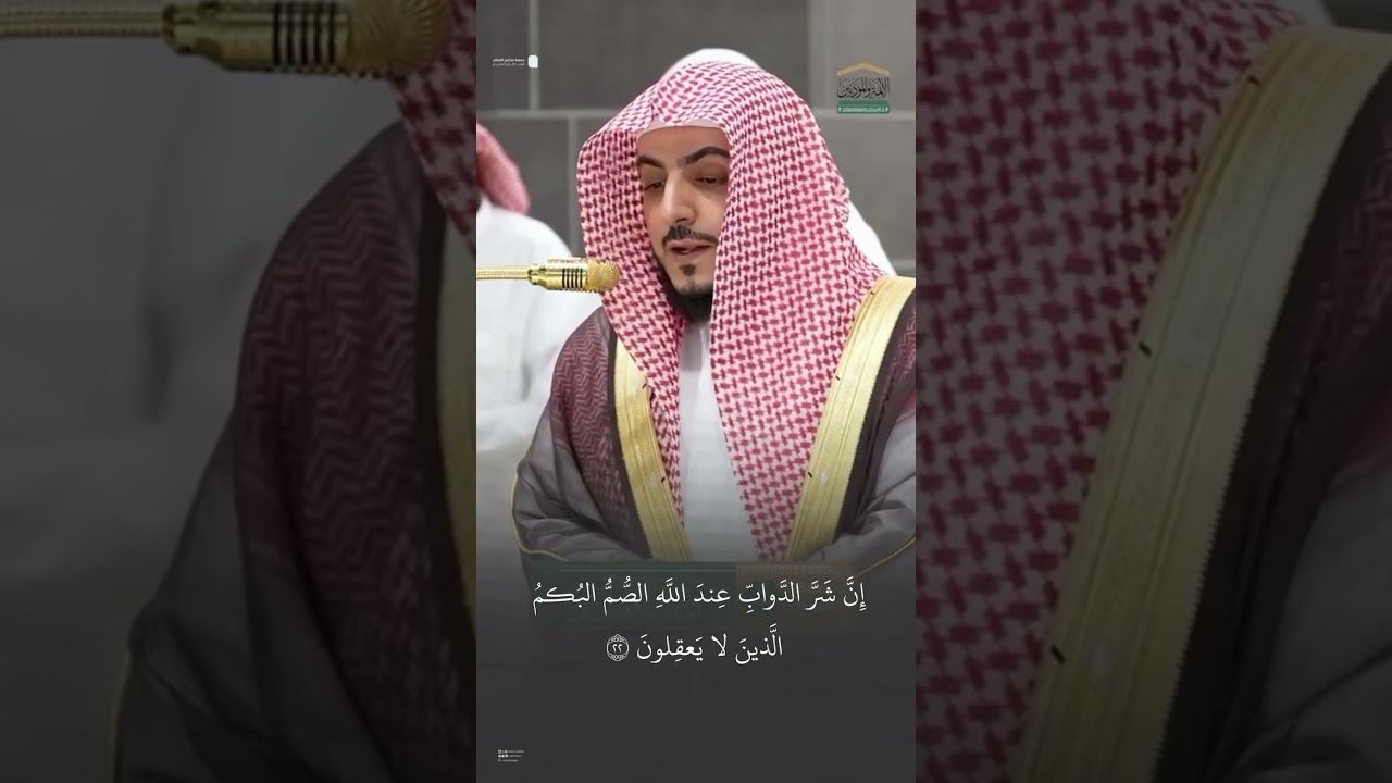 مقتطف من تلاوة الشيخ #الوليد_الشمسان من عشاء 16 شوال 1446هـ