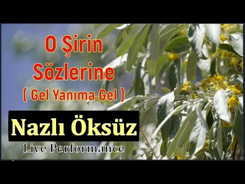 O ŞİRİN SÖZLERİNE (GEL YANIMA GEL GEL)  NAZLI ÖKSÜZ kimdir? / Timeless Ones / PART 112