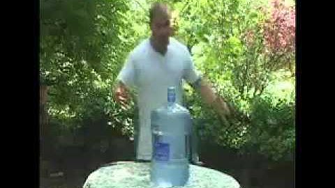 Tera Tom Query Search Off Contest