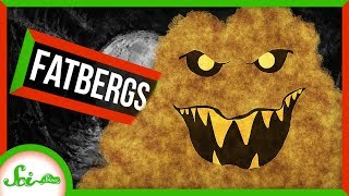 Why Our Sewers are Plagued by Fatbergs