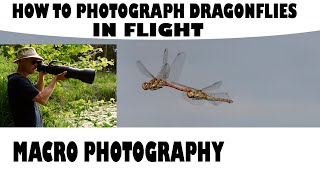 HOW TO PHOTOGRAPH DRAGONFLIES IN FLIGHT