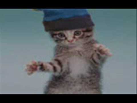 halo 1 historia loquedo - YouTube