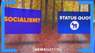 Democrats must choose: Embrace socialism or the status quo, Vittert says | On Balance