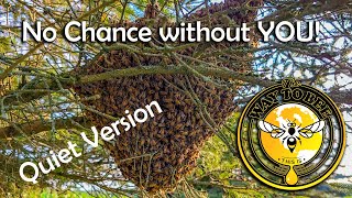 Swarm In July, Take Two QUIET VERSION, not too late to hive them.