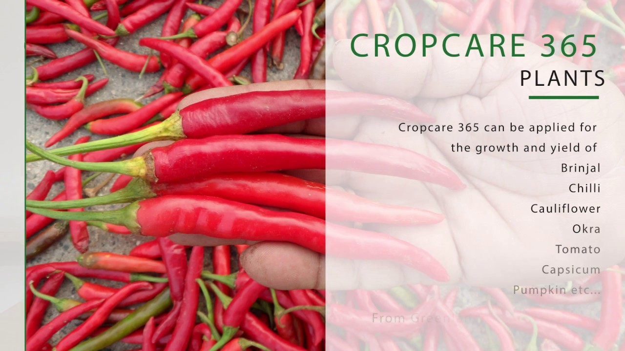 Cropcare 365 | Greenland Communication | AGRI TV