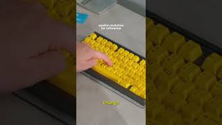 Mechanical Switches With Swappable Inserts?!