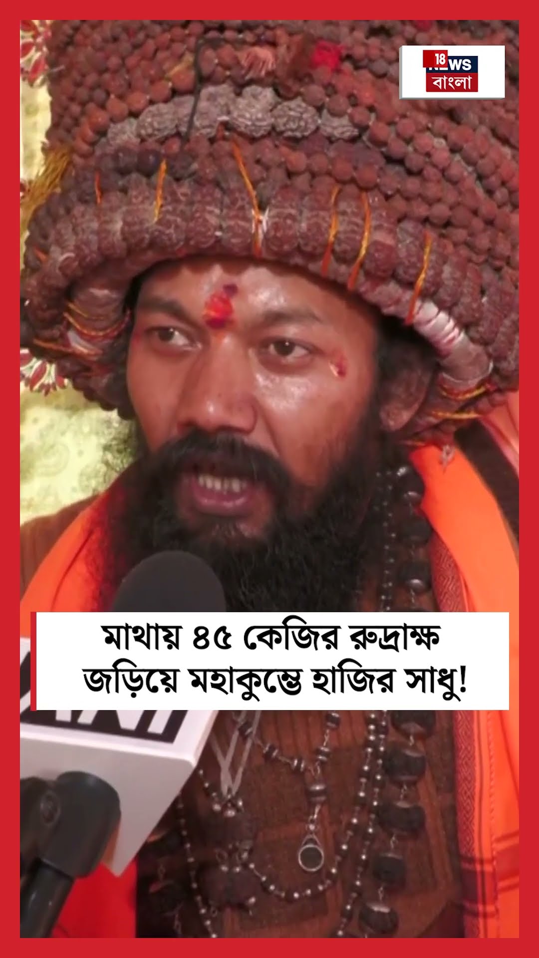 মাথায় ৪৫ কেজির রুদ্রাক্ষ জড়িয়ে Maha Kumbh হাজির সাধু! | N18S #shorts