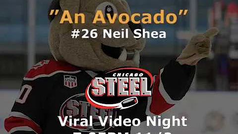 Viral Video Remake: Neil Shea