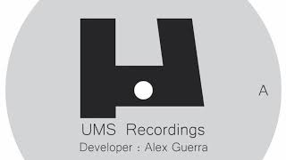 Developer - Bridge [UMS006]