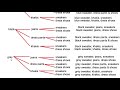 Using the Fundamental Counting Principle to Find the Total Number of Outcomes - Video 2