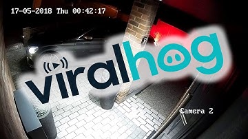 Keyless Car Theft Hack Caught on Camera  || ViralHog