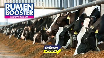 RumenBooster for Cattle; Optimising Rumen Function