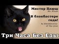 Трейлер блокбастер Черный кот Три часа без еды - With English subtitles!