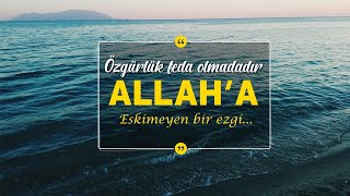 Özgürlük Feda Olmadadır Allaha...